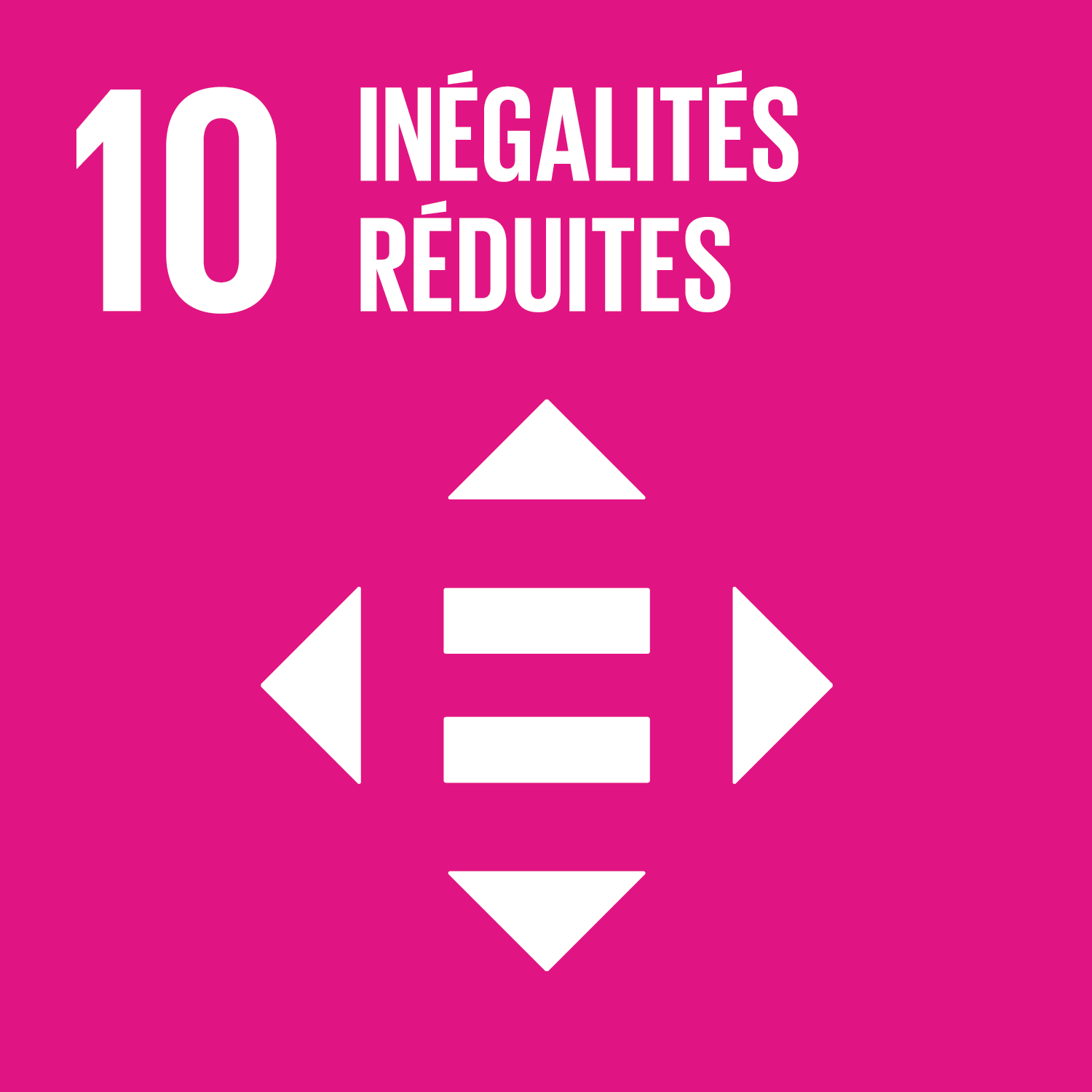 SDG10.jpg